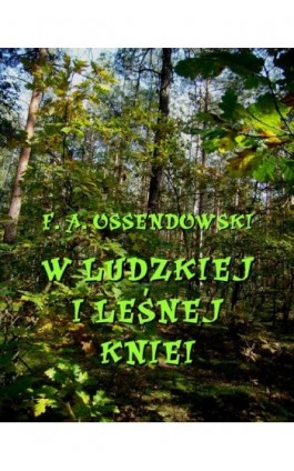 W ludzkiej i leśnej kniei - Antoni Ferdynand Ossendowski - Ebook - 978-83-8064-747-3