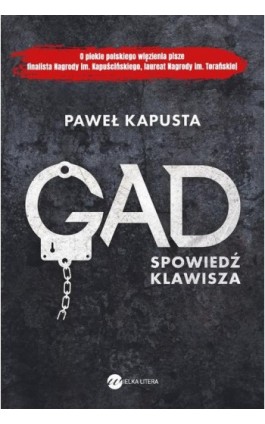 Gad. Spowiedź klawisza - Paweł Kapusta - Ebook - 978-83-8032-383-4