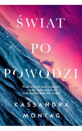 Świat po powodzi - Kassandra Montag - Ebook - 978-83-276-4327-8