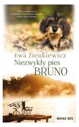 Niezwykły pies Bruno - Ewa Zienkiewicz - Ebook - 978-83-8147-393-4
