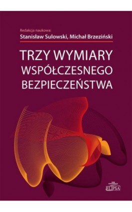 Trzy wymiary współczesnego bezpieczeństwa - Ebook - 978-83-8017-031-5