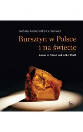 Bursztyn w Polsce i na świecie. Amber in Poland and in the World - Barbara Kosmowska-Ceranowicz - Ebook - 978-83-235-1022-2