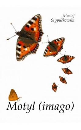 Motyl (imago) - Maciej Stypułkowski - Ebook - 978-83-62255-39-9