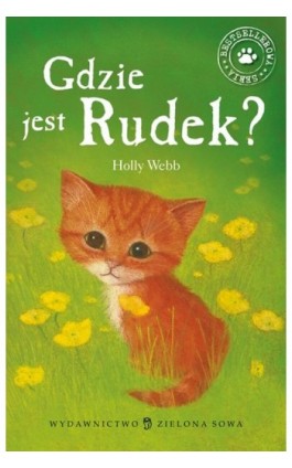 Gdzie jest Rudek - Holly Webb - Ebook - 978-83-265-0171-5