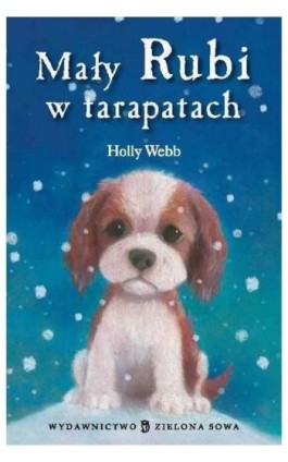 Mały Rubi w tarapatach - Holly Webb - Ebook - 978-83-265-0167-8