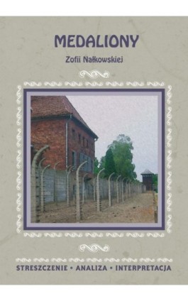 Medaliony Zofii Nałkowskiej - Piotr Pyrek - Ebook - 978-83-7898-435-1
