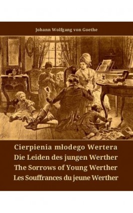 Cierpienia młodego Wertera - Johann Wolfgang von Goethe - Ebook - 978-83-7950-225-7