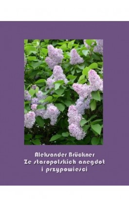 Ze staropolskich anegdot i przypowieści - Aleksander Brückner - Ebook - 978-83-7950-794-8