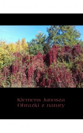 Obrazki z natury - Klemens Junosza - Ebook - 978-83-7950-875-4