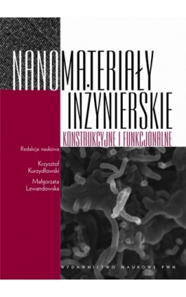 Nanomateriały inżynierskie konstrukcyjne i funkcjonalne - Ebook - 978-83-01-16418-8