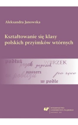 Kształtowanie się klasy polskich przyimków wtórnych - Aleksandra Janowska - Ebook - 978-83-8012-746-3