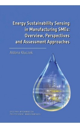 Energy Sustainability Sensing in Manufacturing SMEs: Overview, Perspectives and Assessment Approaches - Aldona Kluczek - Ebook - 978-83-8156-092-4
