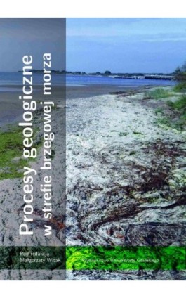 Procesy geologiczne w strefie brzegowej morza - Ebook - 978-83-7865-284-7