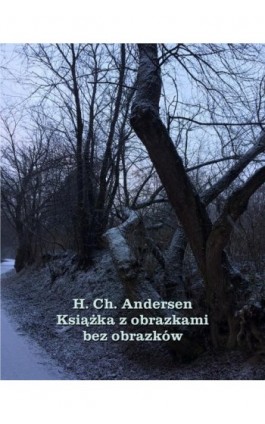 Książka z obrazkami bez obrazków - Hans Christian Andersen - Ebook - 978-83-7950-968-3