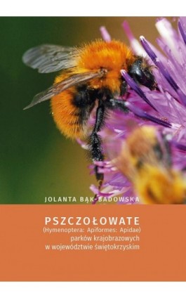 Pszczołowate (Hymenoptera: Apiformes: Apidae) parków krajobrazowych w województwie świętokrzyskim - Jolanta Bąk-Badowska - Ebook - 978-83-7133-730-7