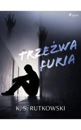 Trzeźwa furia - K. S. Rutkowski - Ebook - 9788726626926