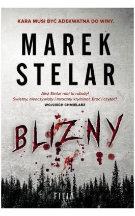 Blizny - Marek Stelar - Ebook - 978-83-8195-253-8