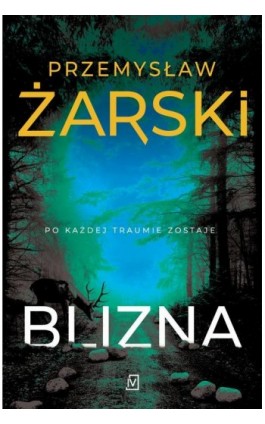 Blizna. Seria z Robertem Kreftem - Przemysław Żarski - Ebook - 9788366553262