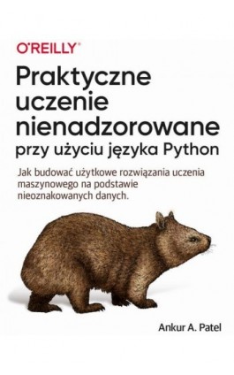 Praktyczne uczenie nienadzorowane przy użyciu języka Python - Ankur A. Patel - Ebook - 978-83-7541-427-1