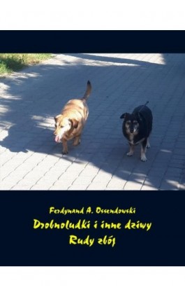 Drobnoludki i inne dziwy. Rudy zbój - Antoni Ferdynand Ossendowski - Ebook - 978-83-7639-102-1