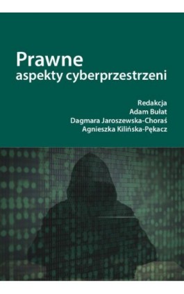 Prawne aspekty cyberprzestrzeni - Ebook - 978-83-8018-313-1