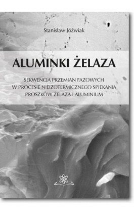 Aluminki żelaza - Stanisław Jóźwiak - Ebook - 978-83-7798-317-1