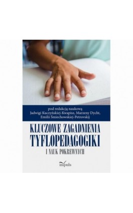 Kluczowe zagadnienia tyflopedagogiki i nauk pokrewnych - Jadwiga Kuczyńska-Kwapisz - Ebook - 978-83-8095-918-7