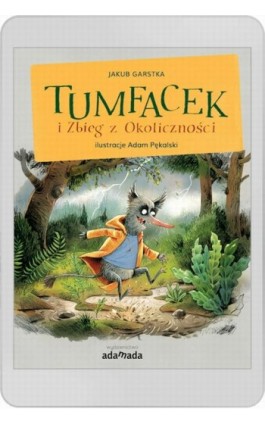 Tumfacek i Zbieg z Okoliczności - Jakub Garstka - Ebook - 978-83-8118-453-3