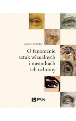 O fenomenie sztuk wizualnych i meandrach ich ochrony - Iwona Szmelter - Ebook - 978-83-01-21606-1