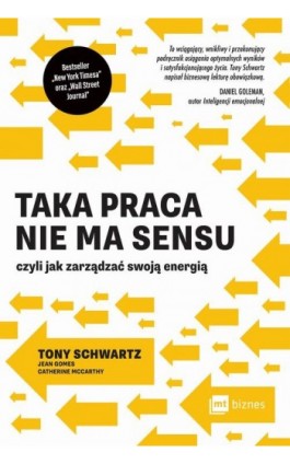 Taka praca nie ma sensu czyli jak zarządzać swoją energią - Tony Schwartz - Ebook - 978-83-8087-940-9