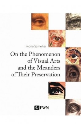 On the Phenomenon of Visual Arts and the Meanders of Their Preservation - Iwona Szmelter - Ebook - 978-83-01-21599-6