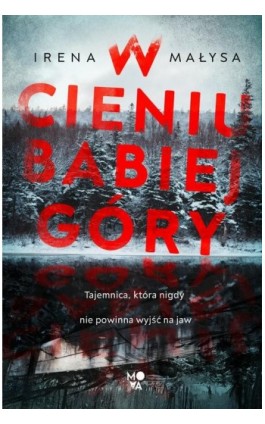 W cieniu Babiej Góry - Irena Małysa - Ebook - 978-83-66815-17-9