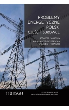 Problemy energetyczne Polski. Część I. Surowce - Ebook - 978-83-8030-075-0