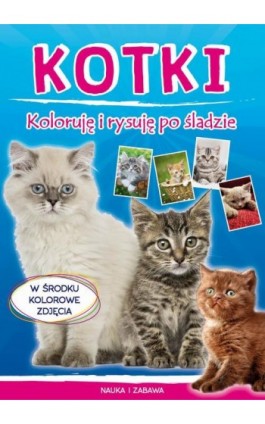 Kotki. Koloruję i rysuję po śladzie - Monika Myślak - Ebook - 978-83-8114-929-7