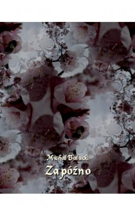 Za późno. Nowela - Michał Bałucki - Ebook - 978-83-7639-189-2