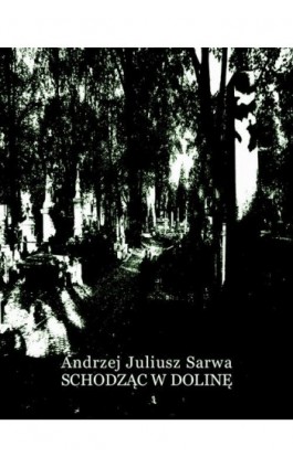 Schodząc w dolinę - Andrzej Juliusz Sarwa - Ebook - 978-83-7639-204-2