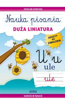 Nauka pisania. Duża liniatura - Beata Guzowska - Ebook - 978-83-8114-927-3
