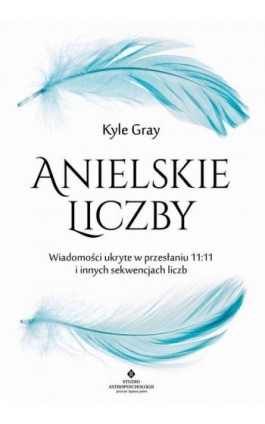 Anielskie liczby. Wiadomości ukryte w przesłaniu 11:11 i innych sekwencjach liczb - Kyle Gray - Ebook - 978-83-8171-358-0