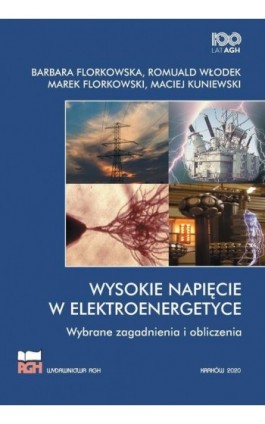 Wysokie Napięcie w Elektroenergetyce. Wybrane zagadnienia i obliczenia - Barbara Florkowska - Ebook - 978-83-66727-05-2