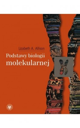 Podstawy biologii molekularnej - Lizabeth A. Allison - Ebook - 978-83-235-3779-3