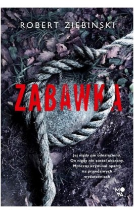 Zabawka - Robert Ziębiński - Ebook - 978-83-66890-33-6