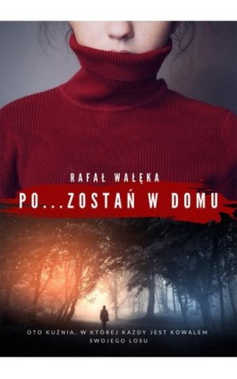 Pozostań w domu - Rafał Wałęka - Ebook - 978-83-8166-165-2