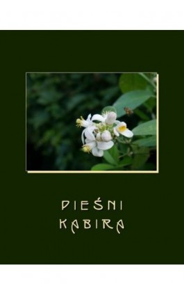Pieśni Kabira - Kabir - Ebook - 978-83-7950-718-4