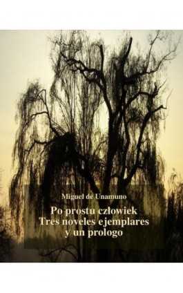 Po prostu człowiek. Tres noveles ejemplares y un prologo - Miguel de Unamuno - Ebook - 978-83-7950-719-1