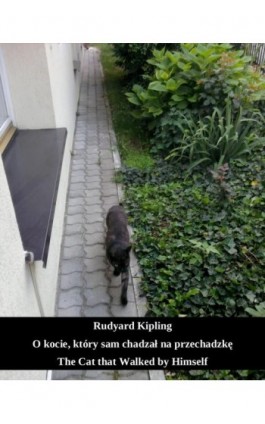 O kocie, który sam chadzał na przechadzkę. The Cat that Walked by Himself - Rudyard Kipling - Ebook - 978-83-7950-771-9