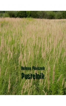 Pustelnik - Helena Mniszek - Ebook - 978-83-7950-947-8