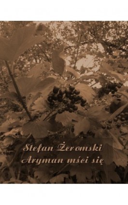 Aryman mści się - Stefan Żeromski - Ebook - 978-83-7950-939-3
