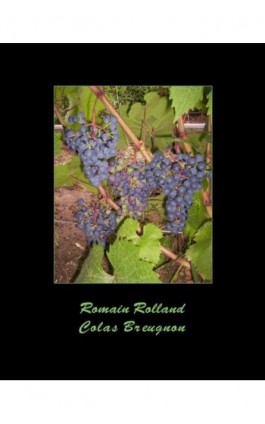 Colas Breugnon - Romain Rolland - Ebook - 978-83-7950-905-8
