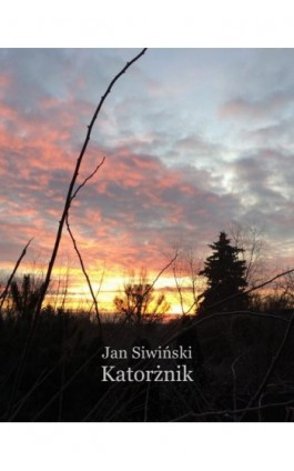 Katorżnik - Jan Siwiński - Ebook - 978-83-7950-988-1