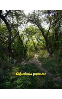 Objawienia prywatne - Praca zbiorowa - Ebook - 978-83-7639-068-0